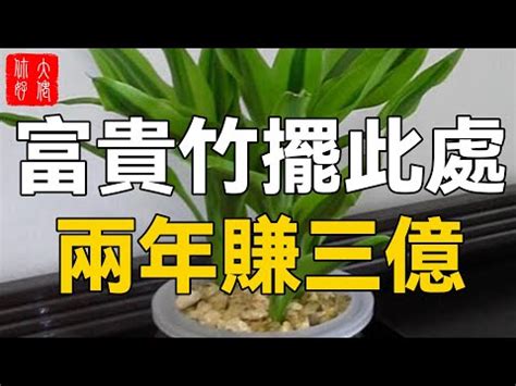 唐竹風水|為何唐竹能趨吉避兇？